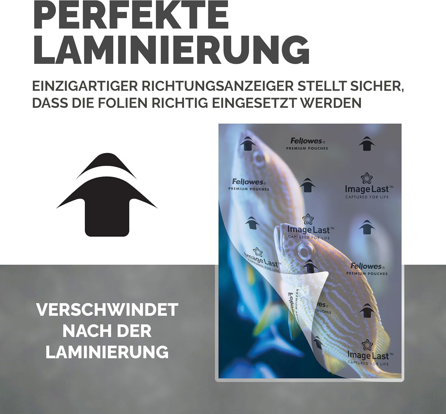 Drei Fische schwimmen durch eine laminierte Folie mit Pfeilen und Logos.
