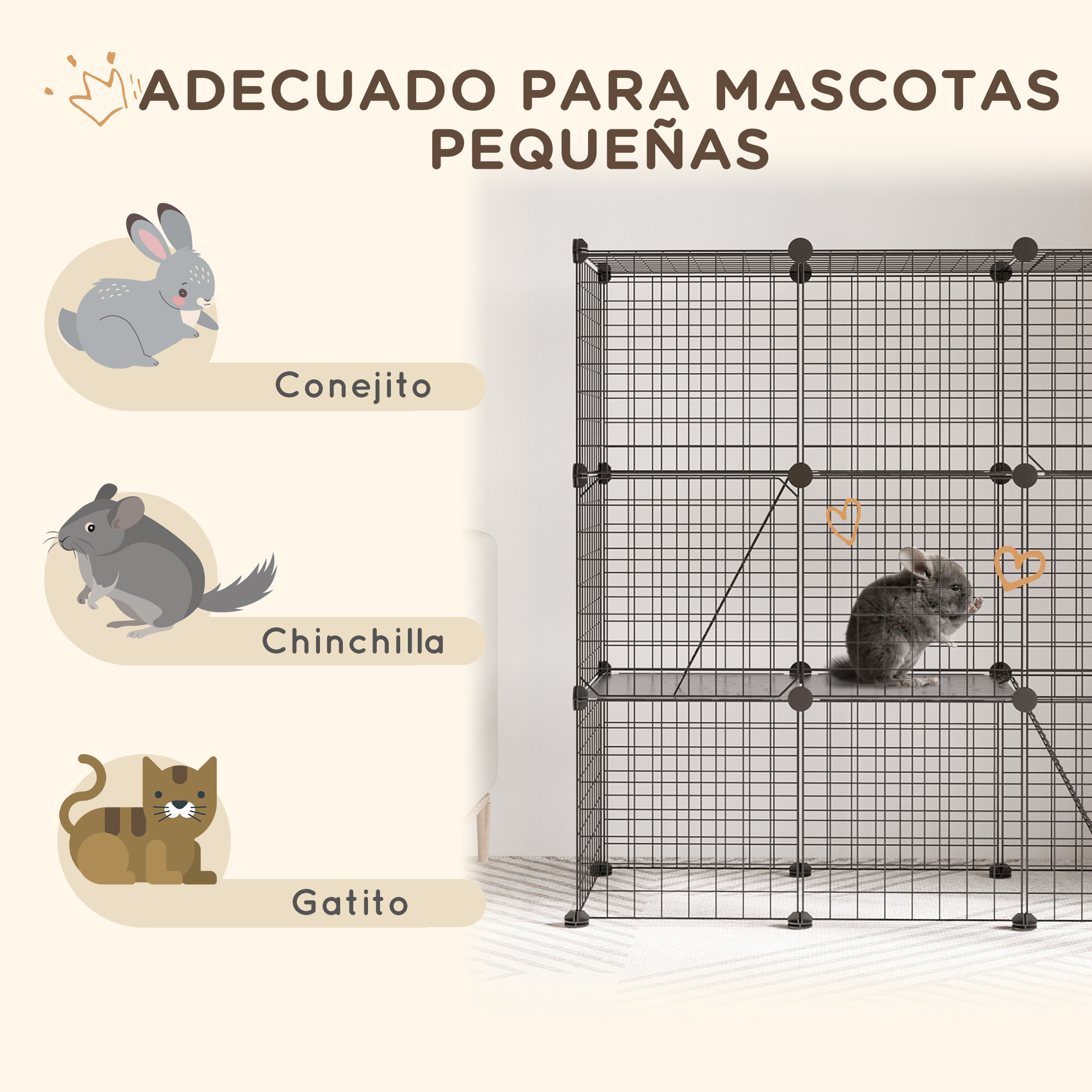 Ilustraciones de conejo, chinchilla, gato y una chinchilla real en una jaula de alambre.
