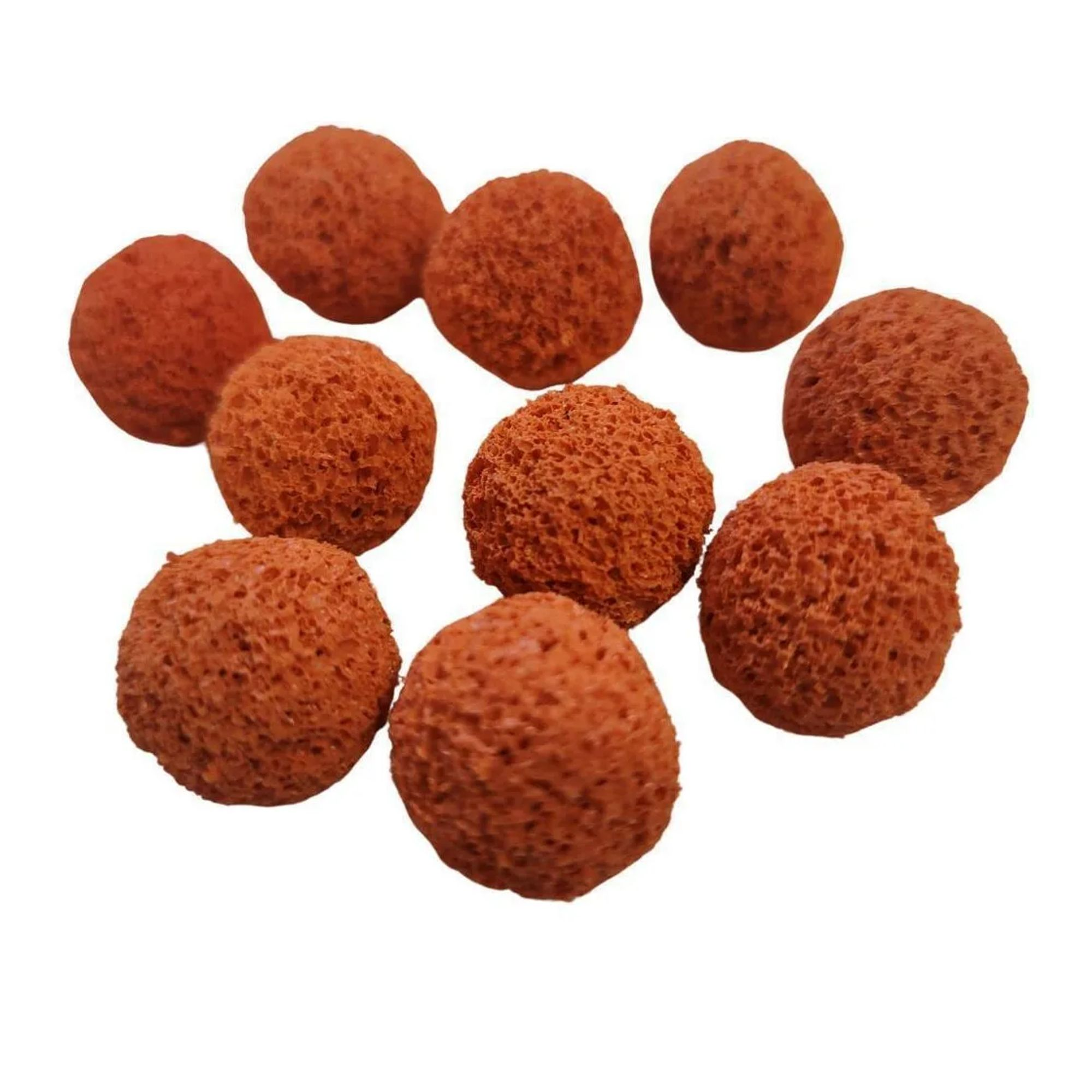 Negen ronde, poreuze, oranje objecten op een witte achtergrond.