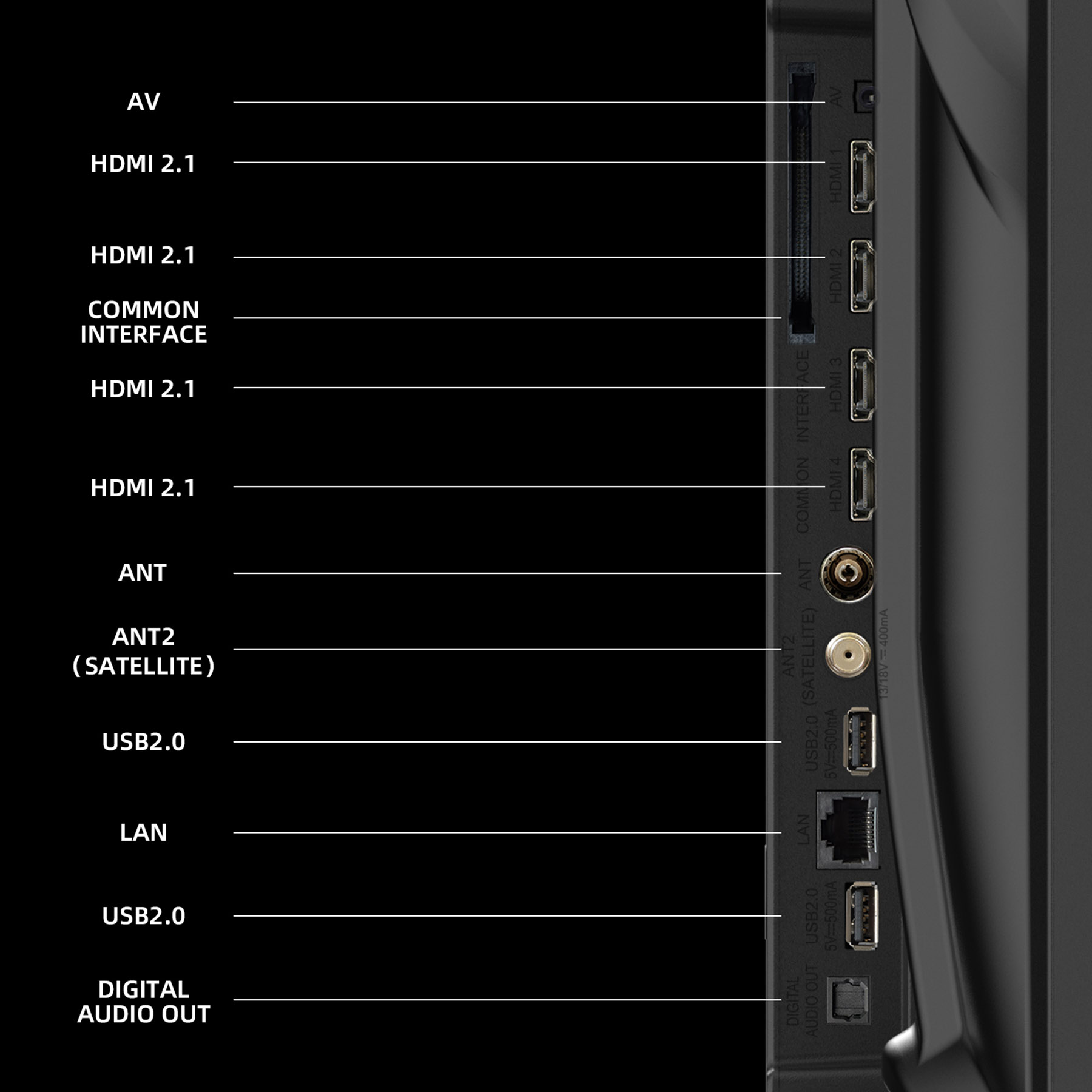 Tył telewizora z portami: AV, HDMI 2.1, Common Interface, Antena, USB, LAN.