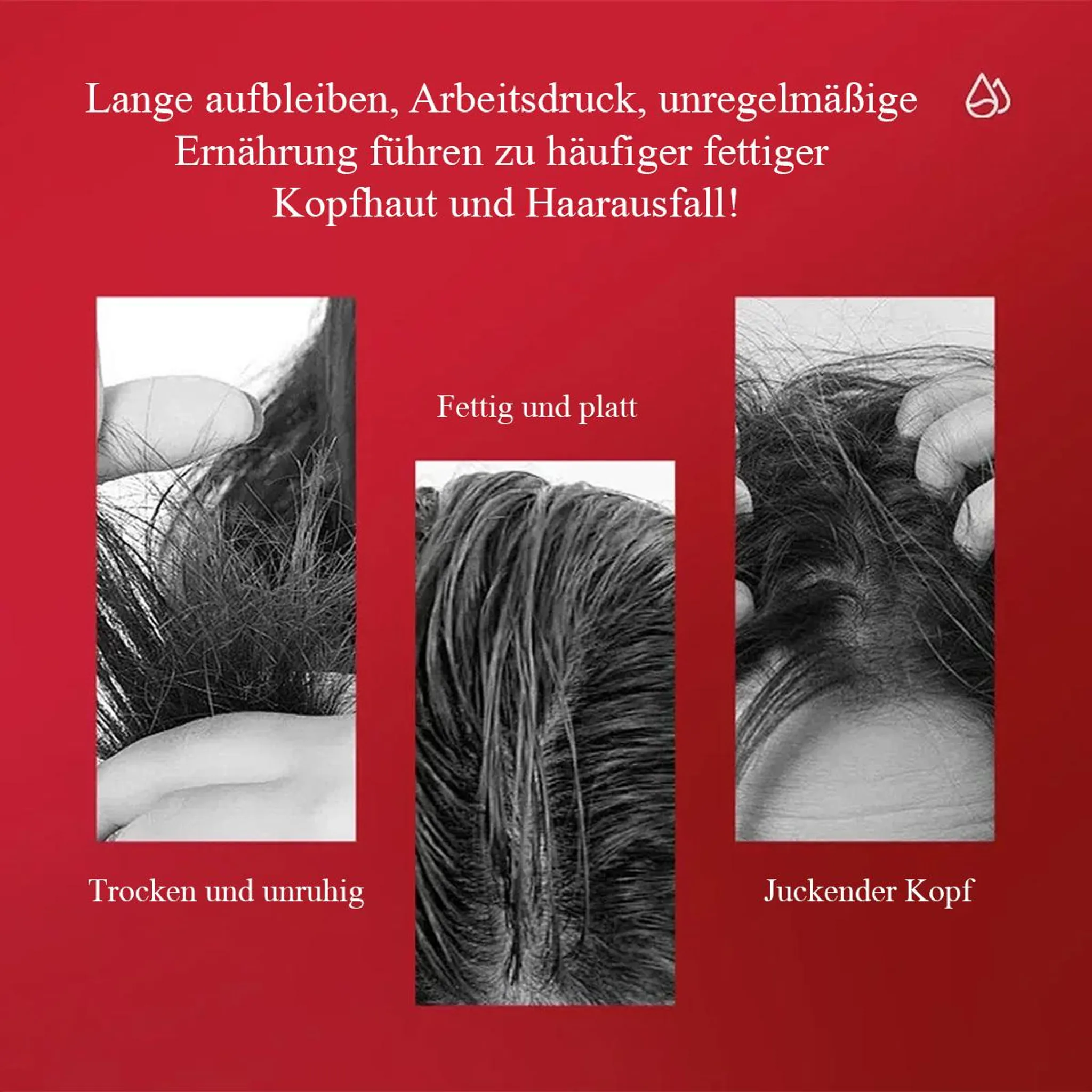 Drei Bilder zeigen Haarprobleme: trocken, fettig und juckend.