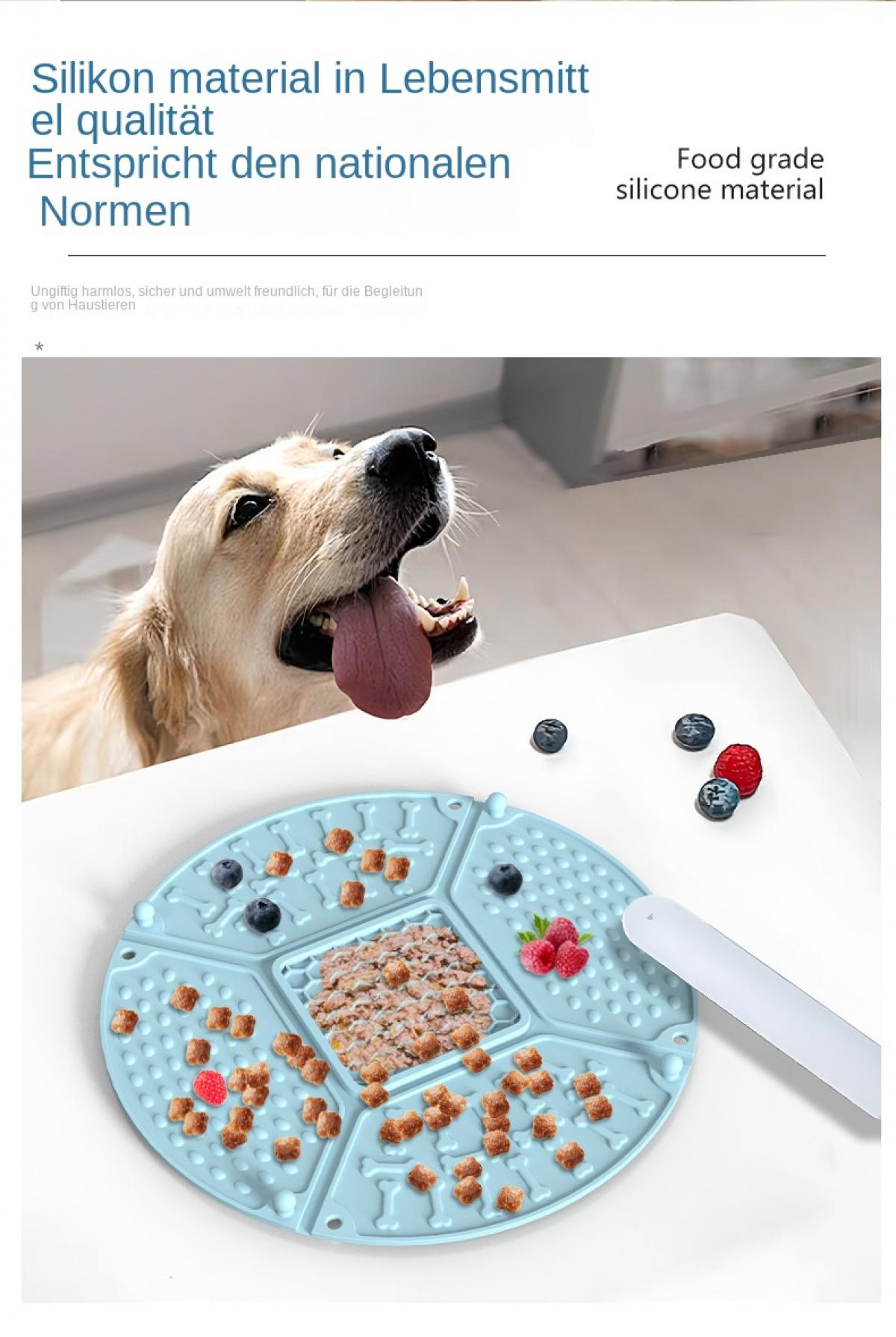 Ein Hund schaut auf ein blaues Futtertablett mit Trockenfutter, Nassfutter und Beeren.
