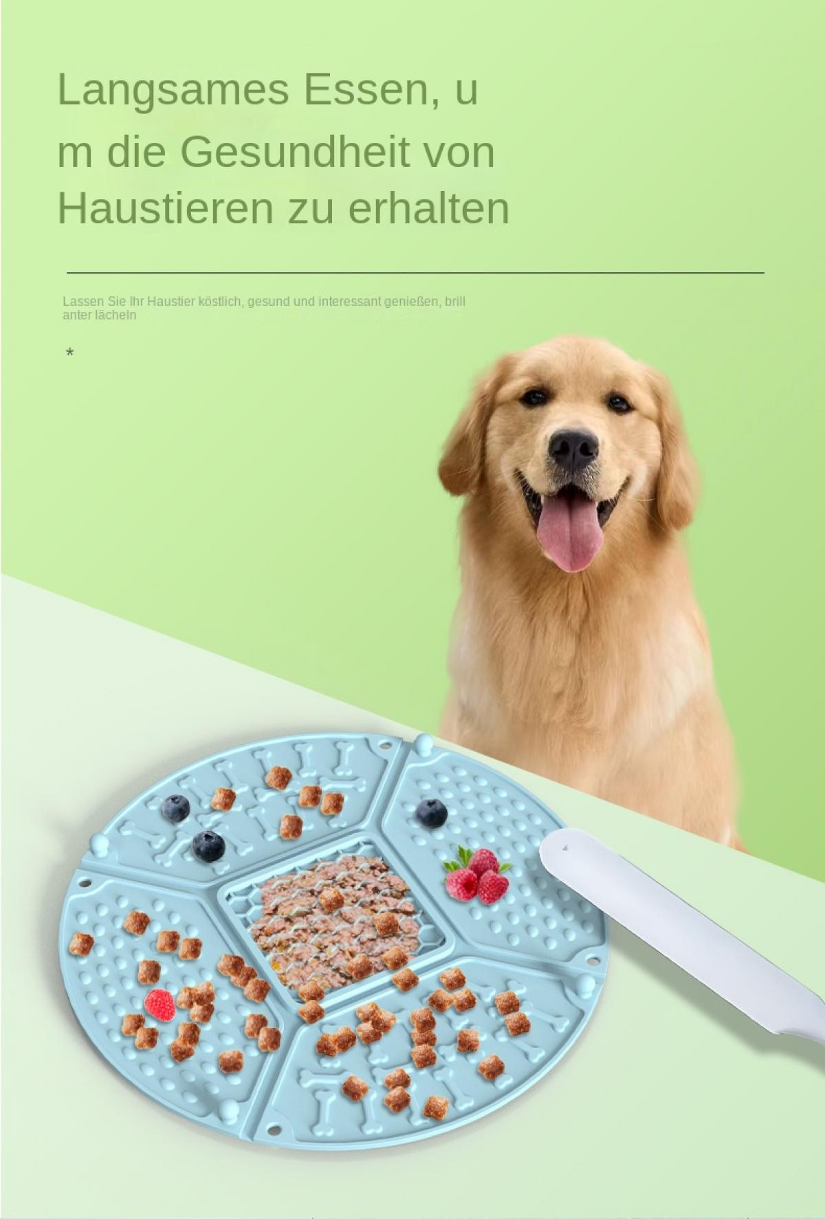 Ein Golden Retriever sitzt vor einem Futtertablett mit Trockenfutter, Beeren und Nassfutter.