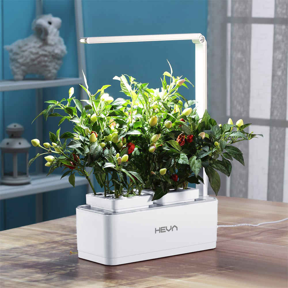 Biały ogród wewnętrzny z roślinami i światłem LED na drewnianym stole.