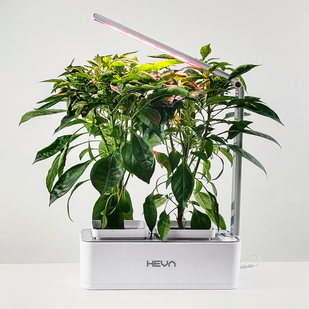 Zielone rośliny rosną w białym pojemniku pod lampą doświetlającą LED.