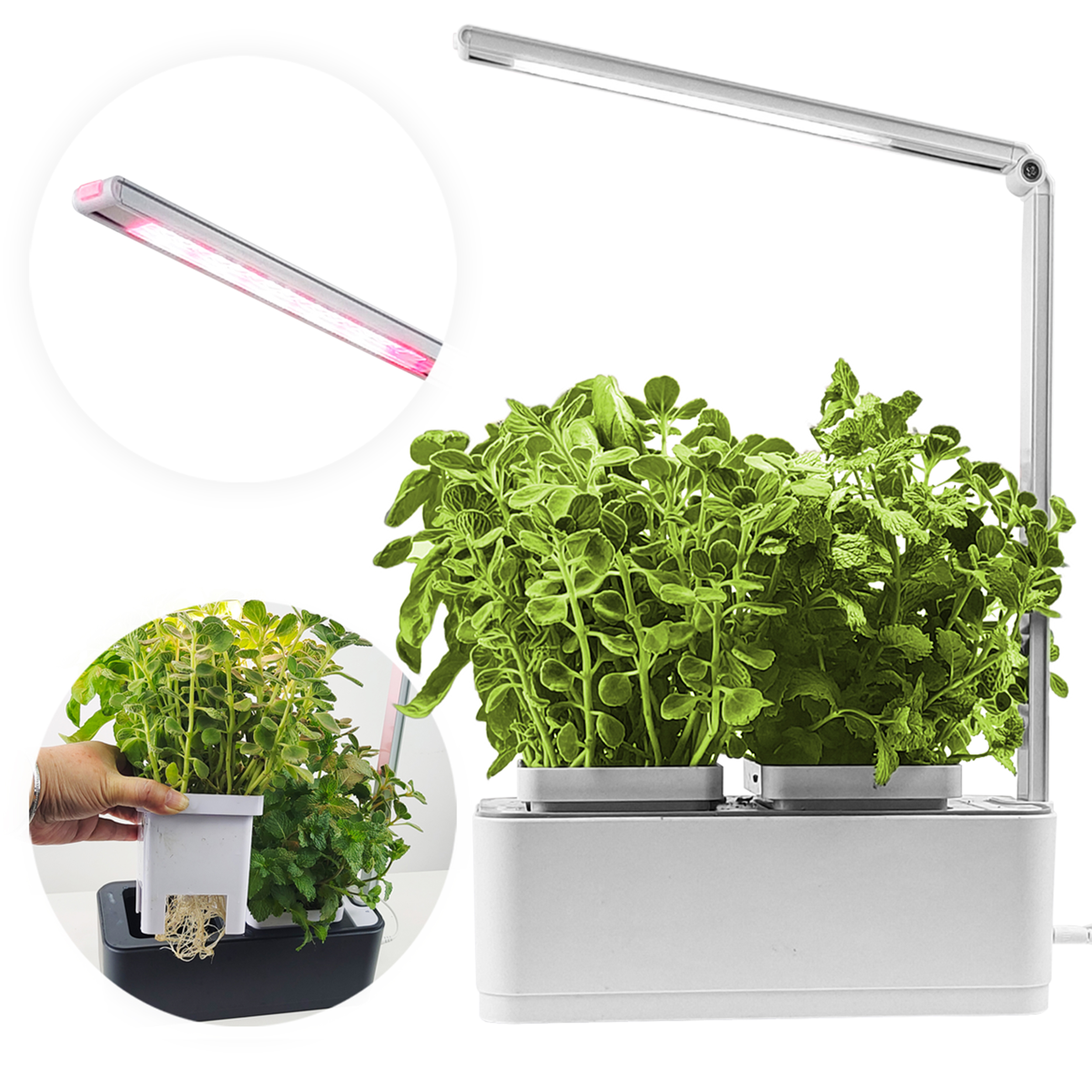 Wewnętrzny ogród ziołowy z oświetleniem LED i wieloma roślinami w doniczkach.