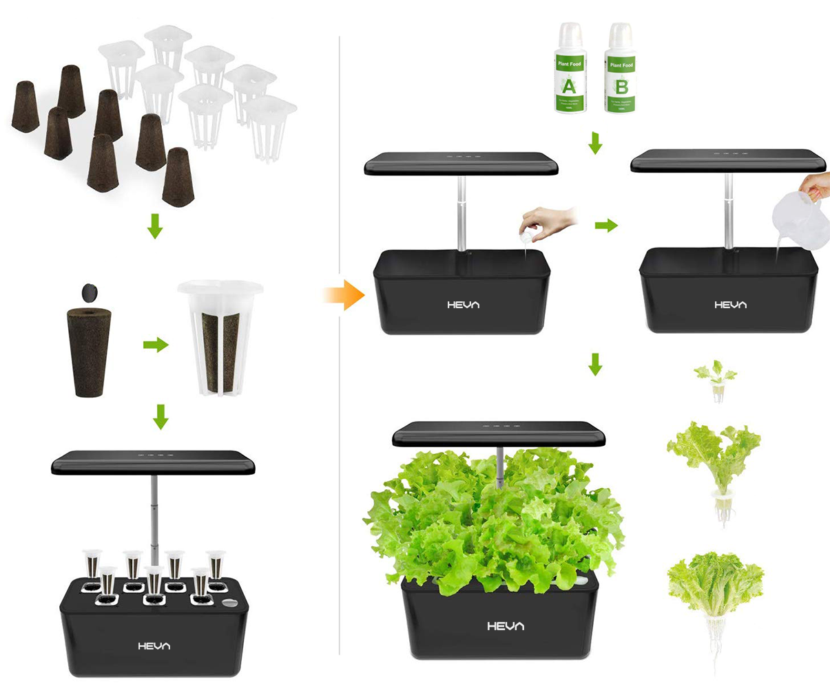 Zestaw do ogrodu hydroponicznego: nasiona, kapsułki, butelki z pożywką, kroki wzrostu.