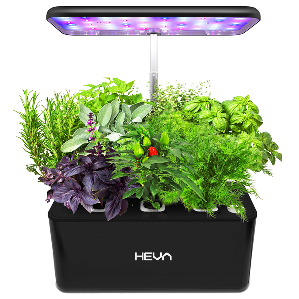 Czarny ogród wewnętrzny z lampą LED do uprawy i bujnymi zielonymi ziołami.