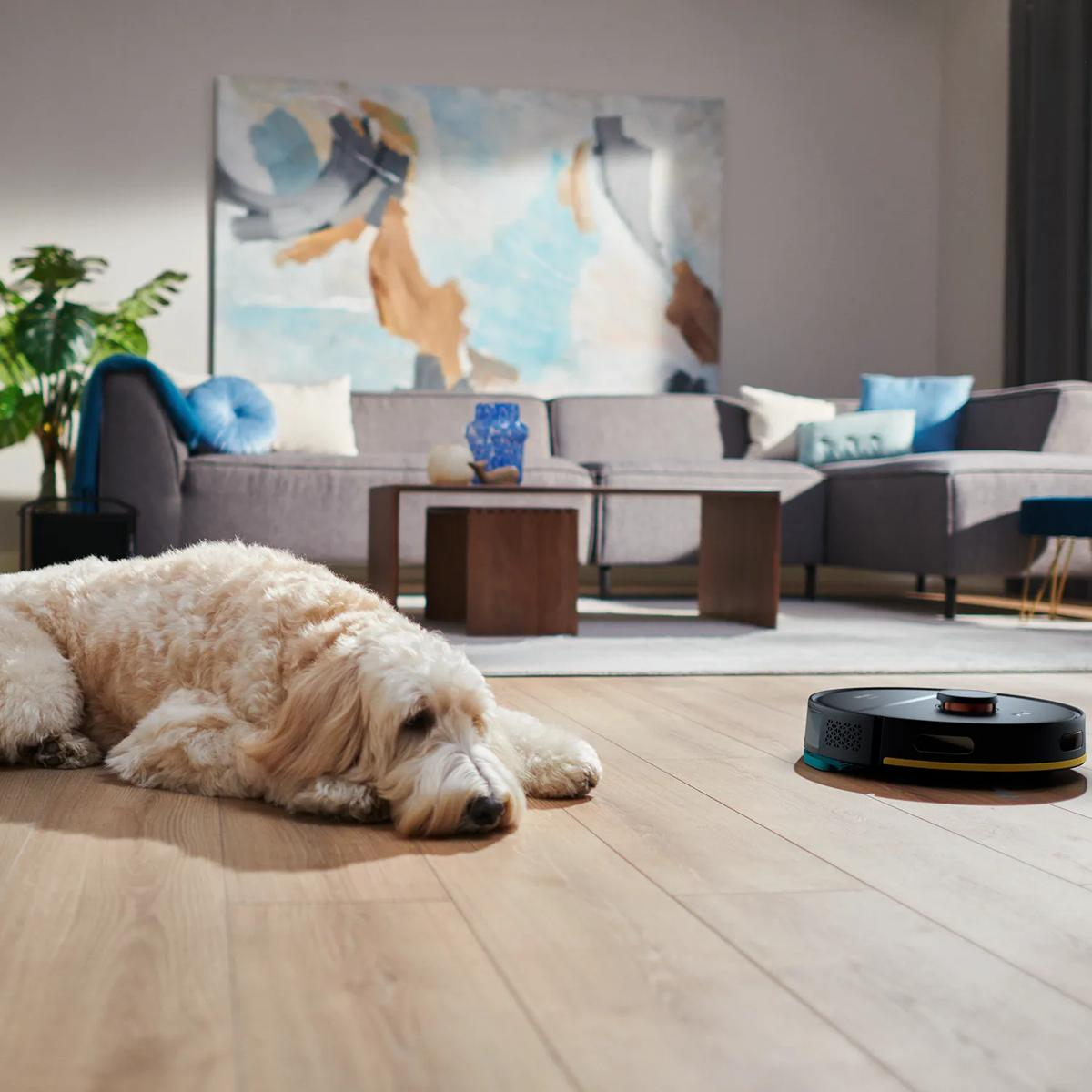 Ein flauschiger Hund ruht auf einem Holzboden, während ein Saugroboter in der Nähe reinigt.
