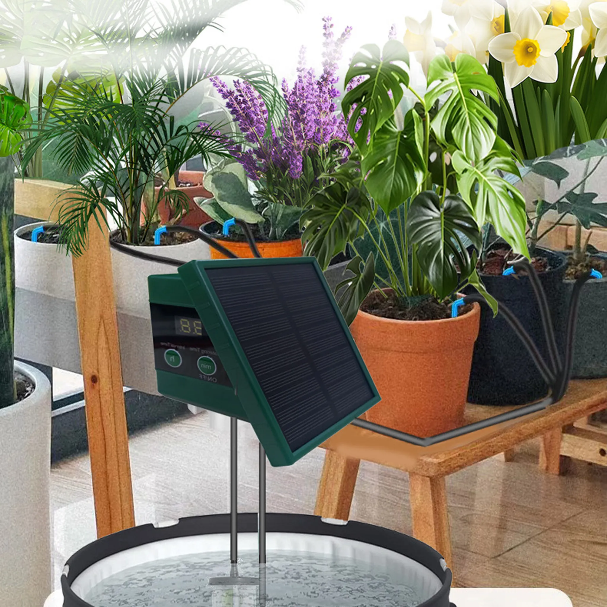 Solarbetriebenes Pflanzenbewässerungssystem mit Digitalanzeige inmitten üppiger grüner Pflanzen.