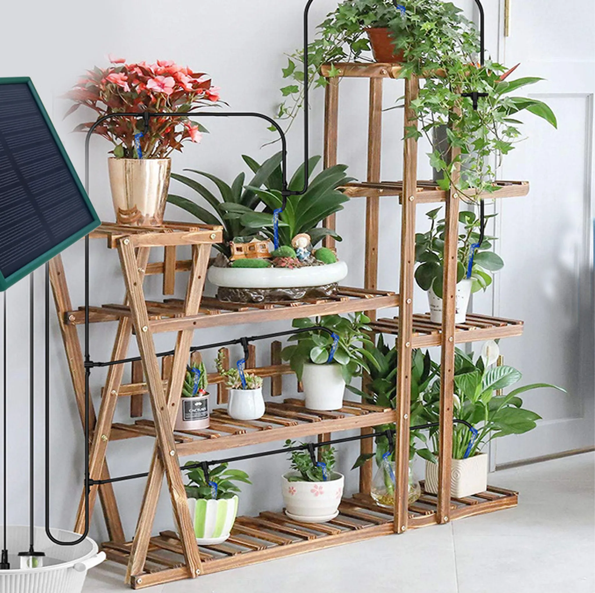 Ein Solarpanel neben einem Holzregal mit vielen Pflanzen und Bewässerungsschläuchen.