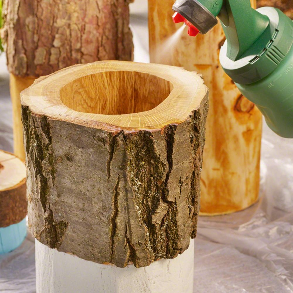 Un tronco scavato viene spruzzato con uno spruzzatore verde. Più tronchi sullo sfondo.