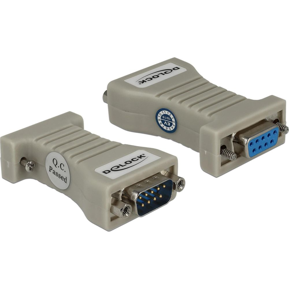 Due adattatori grigi DELOCK con connettori blu ed etichette su sfondo bianco.