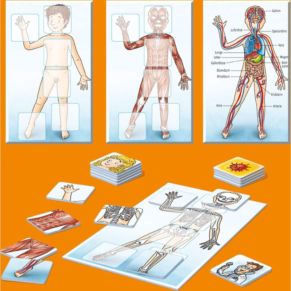 Anatomie-Puzzle mit menschlichen Körperteilen, Organen und Skelett.
