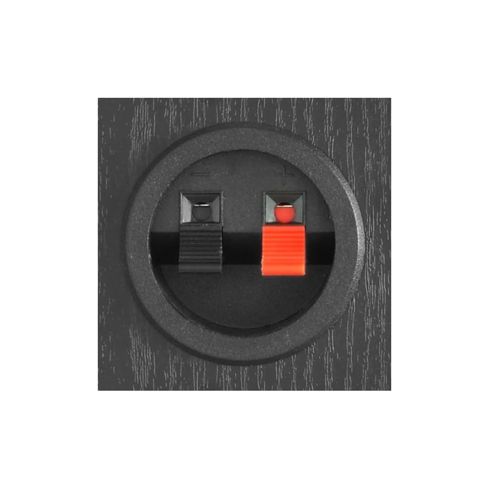 Primer plano de un terminal de altavoz negro con conectores rojos y negros.