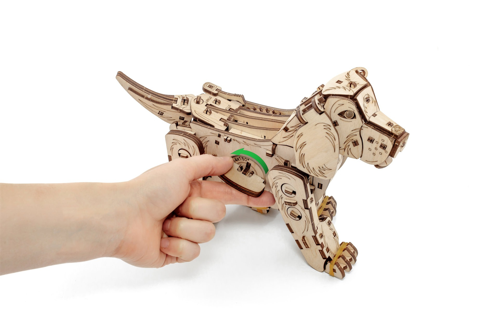 Ein Holzmodell eines Dinosauriers wird von einer Hand mit einem grünen Pfeil auf einem weißen Hintergrund bedient.