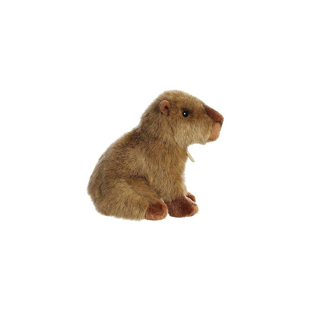 Un peluche marrone siede dritto su sfondo bianco.