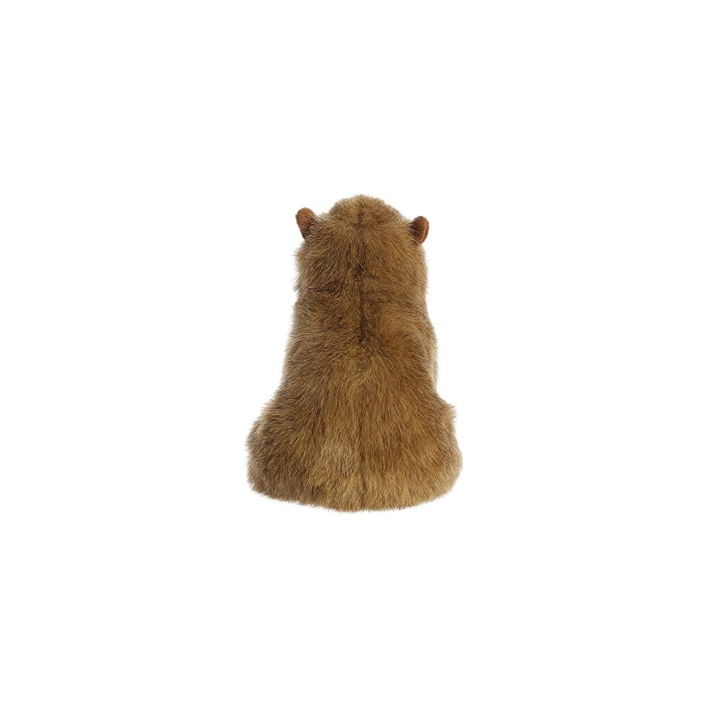 Un peluche marrone visto da dietro su sfondo bianco.