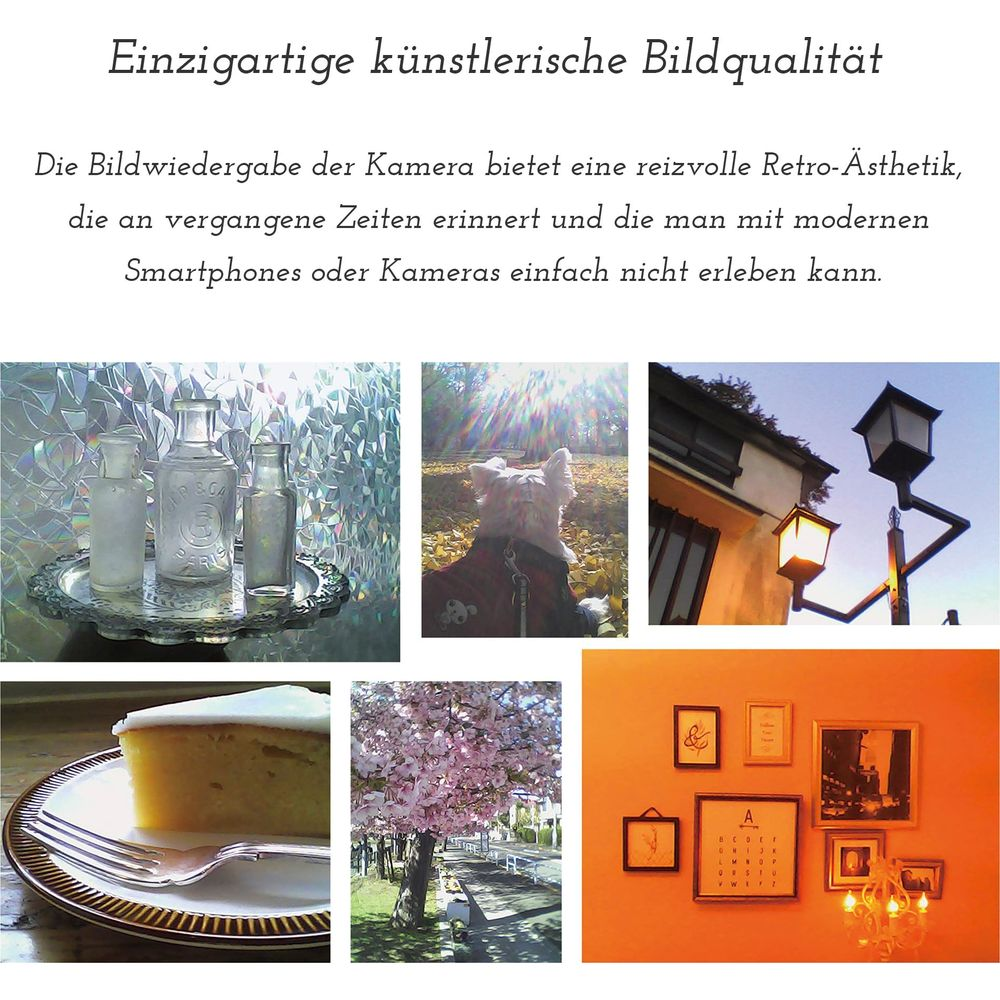Collage: Antike Flaschen, Hund im Herbst, Laterne, Kuchen, Kirschblüten, gerahmte Bilder.