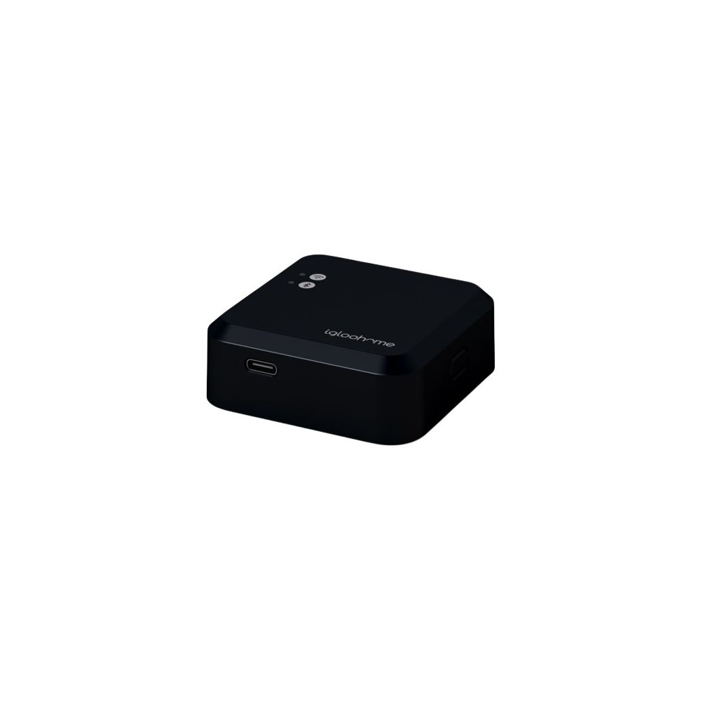 Kleines schwarzes technisches Gerät mit USB-C-Anschluss und "igloohome"-Logo.