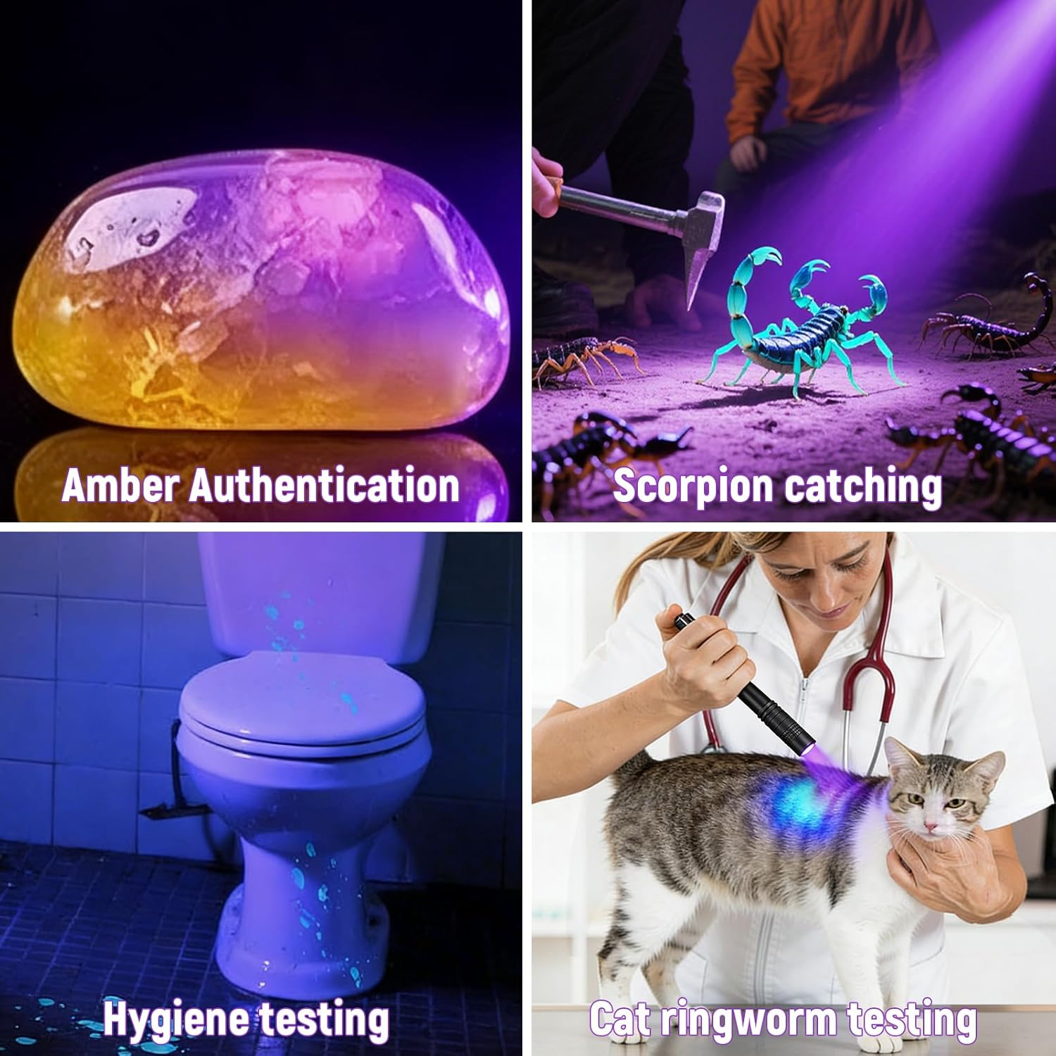 Bernsteinprüfung, Skorpionfang, Hygienetest, Katzenpilztest unter UV-Licht.