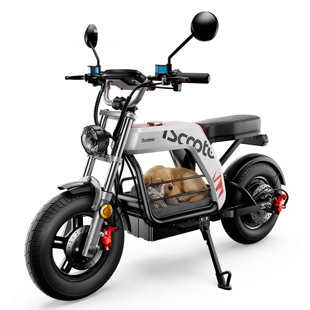 Uno scooter elettrico argentato con un cestino che trasporta due cuccioli addormentati.