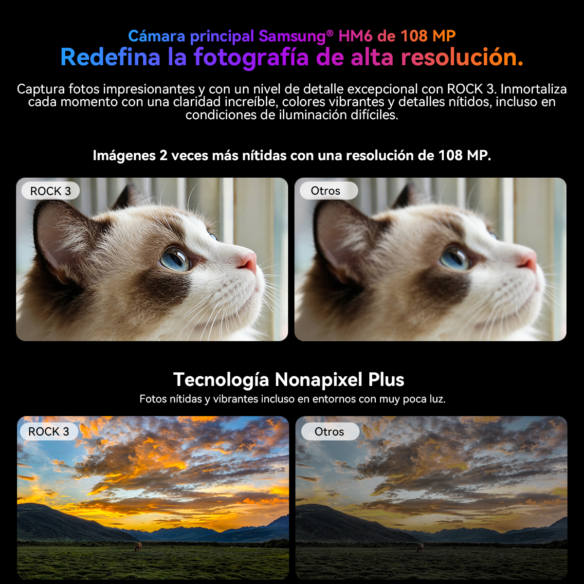 Confronto di due foto di gatti e due di tramonti che mostrano la qualità della fotocamera.