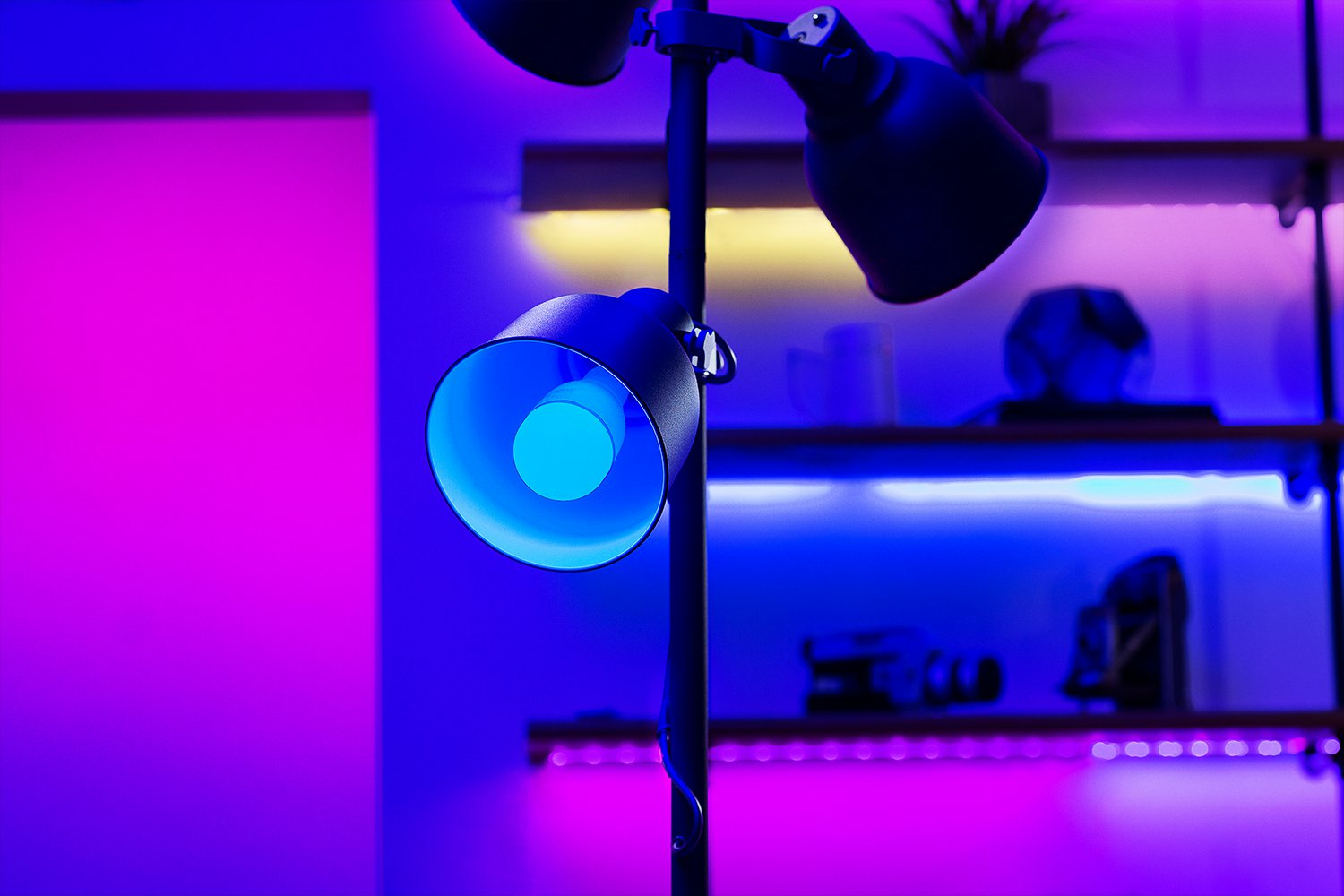 Una lampada con luce blu è accesa. La stanza è illuminata da luce viola e blu.