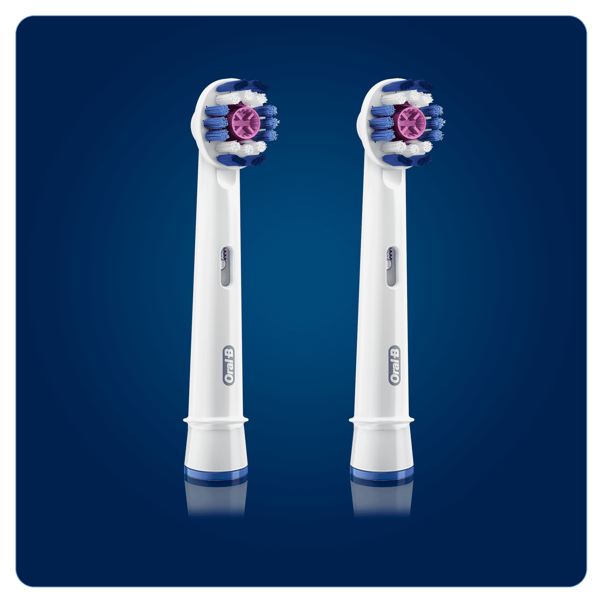 Due testine Oral-B bianche con setole blu, bianche e rosa su sfondo blu.