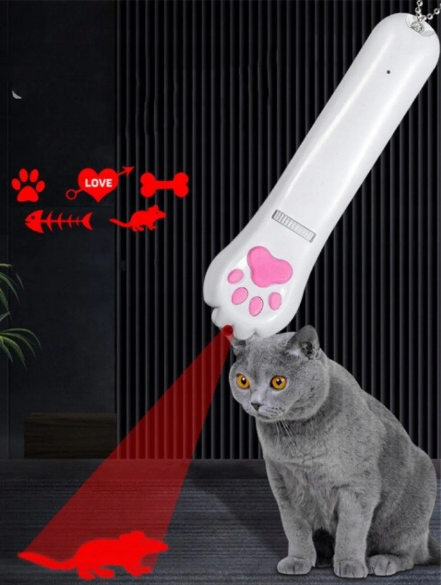 Grauer Kater blickt auf roten Laserpunkt in Mäuseform, der von einem Katzenpfoten-Stift projiziert wird.