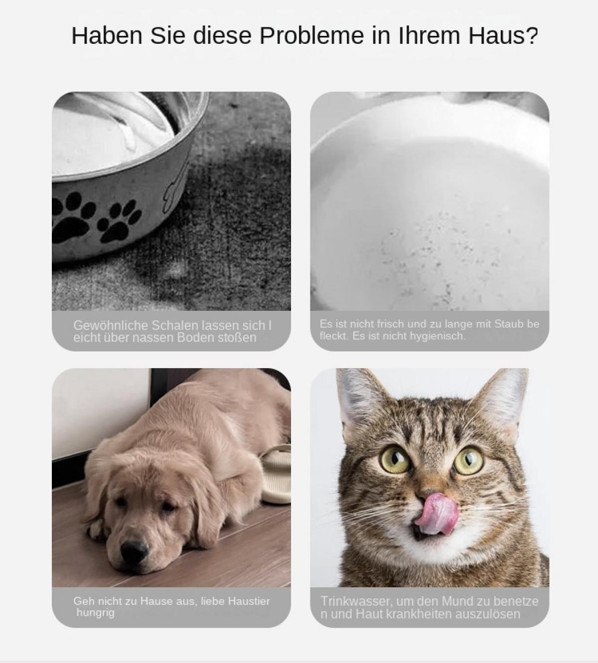 Hunde- und Katzenschalen, ein Hund und eine Katze schlecken