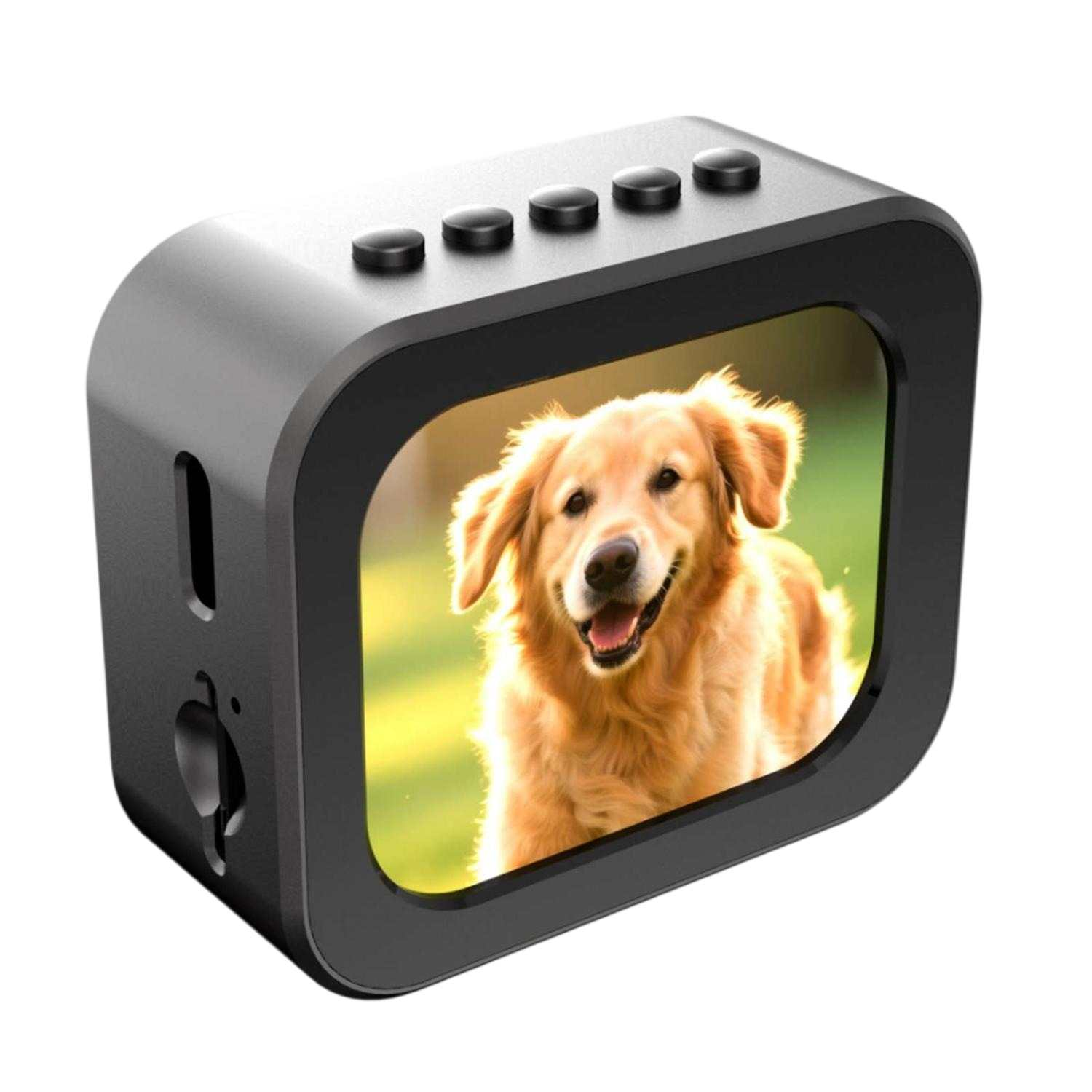 Kompakter schwarzer Würfel mit Bildschirm, der einen Golden Retriever zeigt.