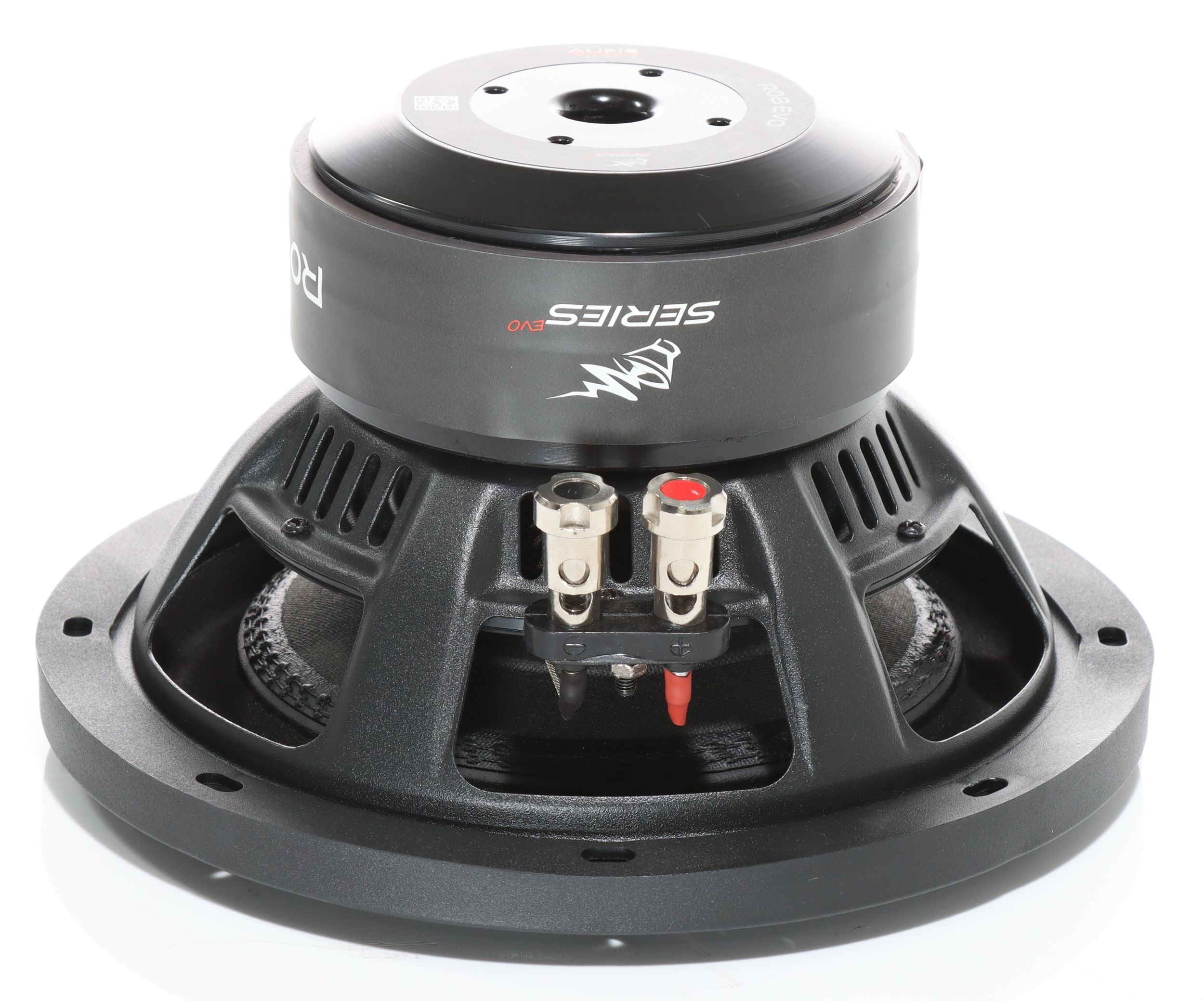 Schwarzer Subwoofer mit silbernen Anschlüssen und roten Akzenten auf weißem Hintergrund.