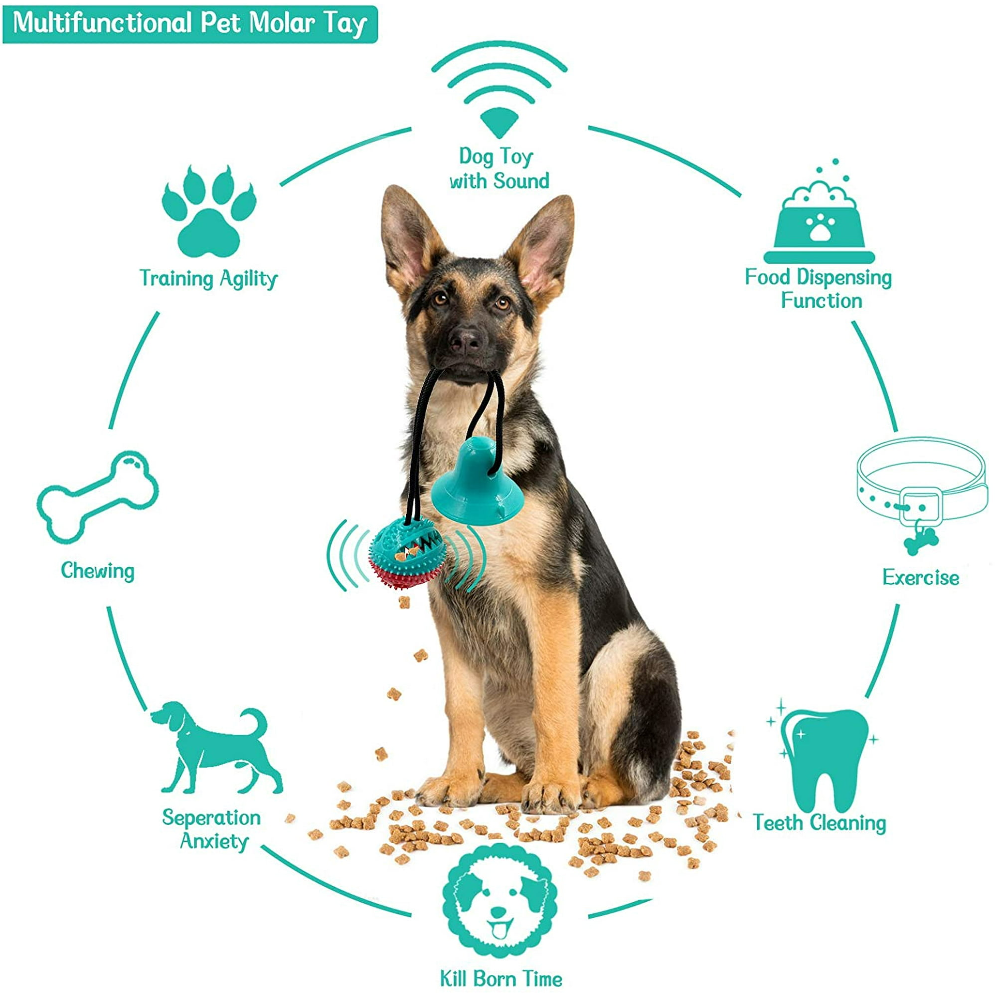 Ein German Shepherd sitzt und hält ein blaues Hundespielzeug mit Geräuschfunktion.