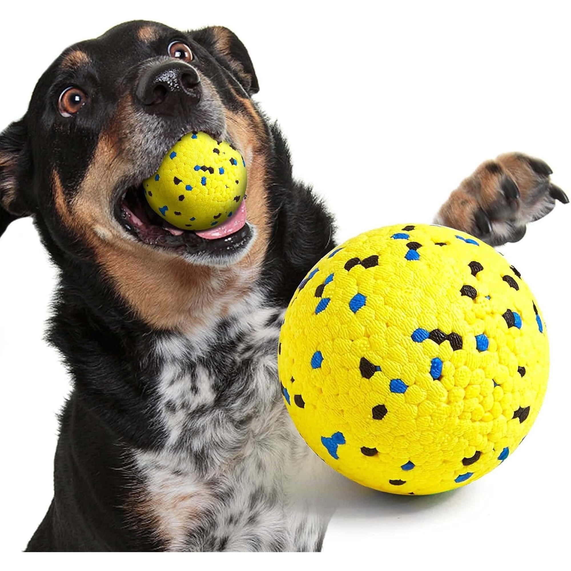 Ein Hund hält einen gelben Ball im Maul und daneben liegt ein großer gelber Ball.