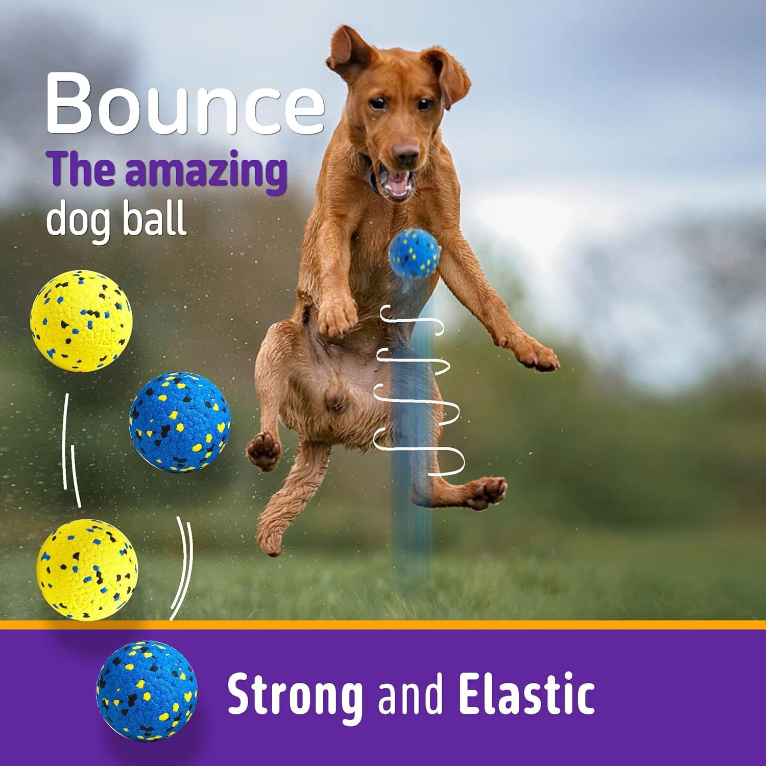 Ein Hund springt in der Luft nach einem bunten Ball. Vier Bälle sind zu sehen.