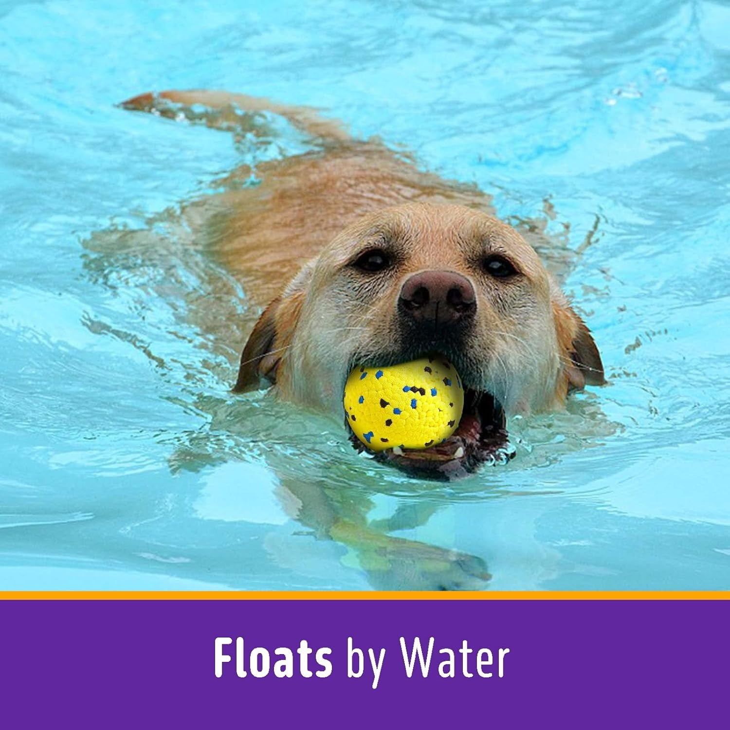 Ein Hund schwimmt im blauen Wasser mit einem gelben Ball im Maul.
