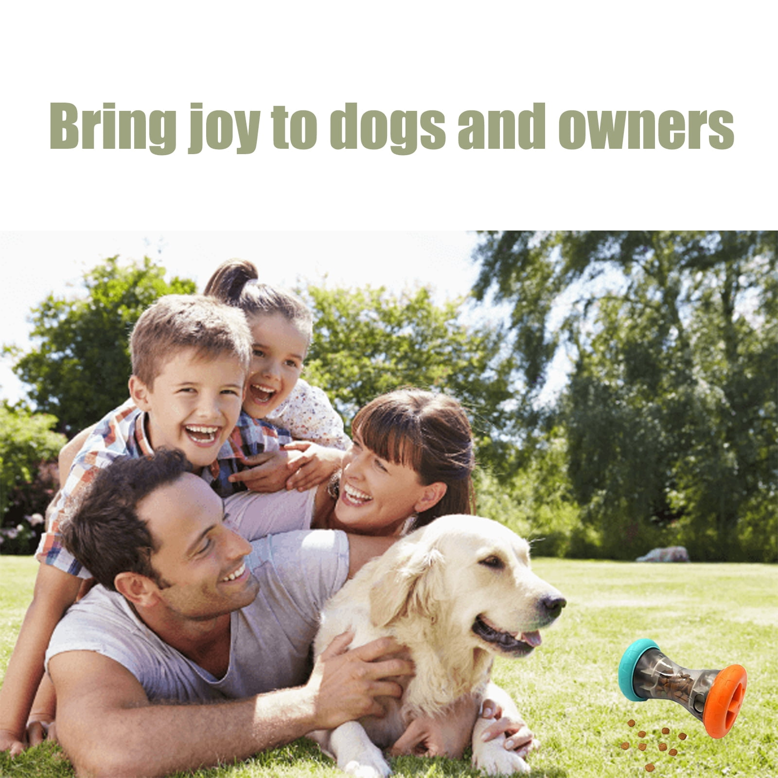 Eine Familie mit Hund im Garten, ein Spielzeug liegt daneben.