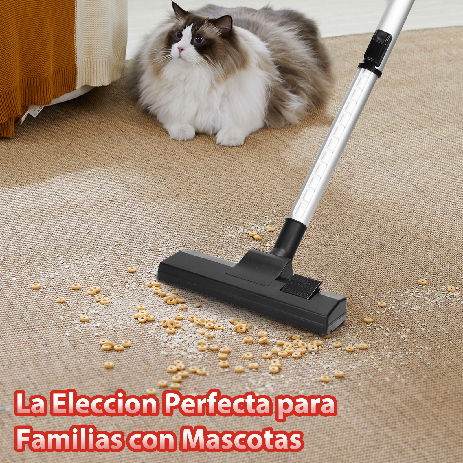 Un gato se sienta cerca de un cabezal de aspiradora en una alfombra con migas.