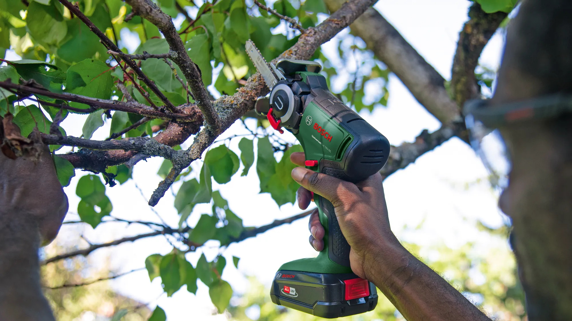 Dłoń trzyma zieloną piłę łańcuchową Bosch do cięcia gałęzi drzewa na zewnątrz.
