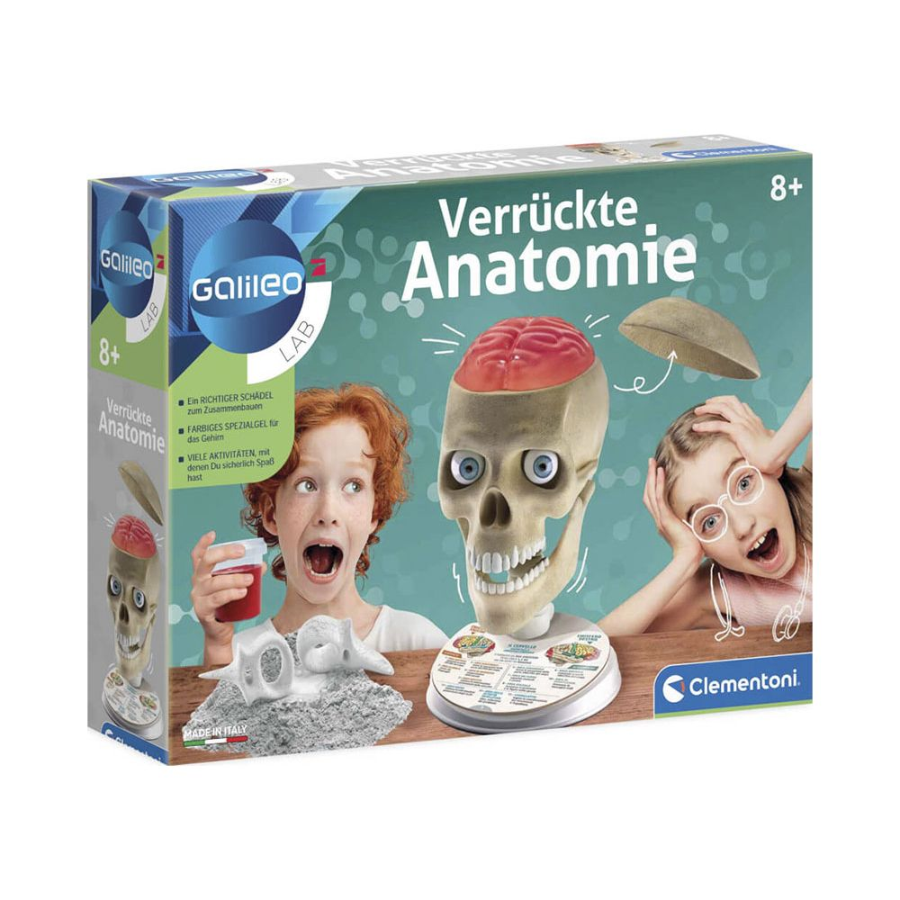 Spielverpackung mit Kindern, Totenkopfmodell und Gehirn.