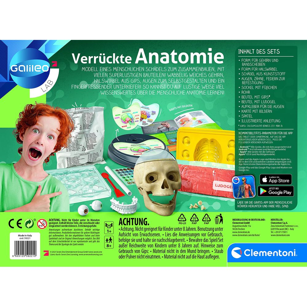 Ein Junge zeigt auf ein anatomisches Modell eines Schädels mit Gehirn und Knochenteilen.