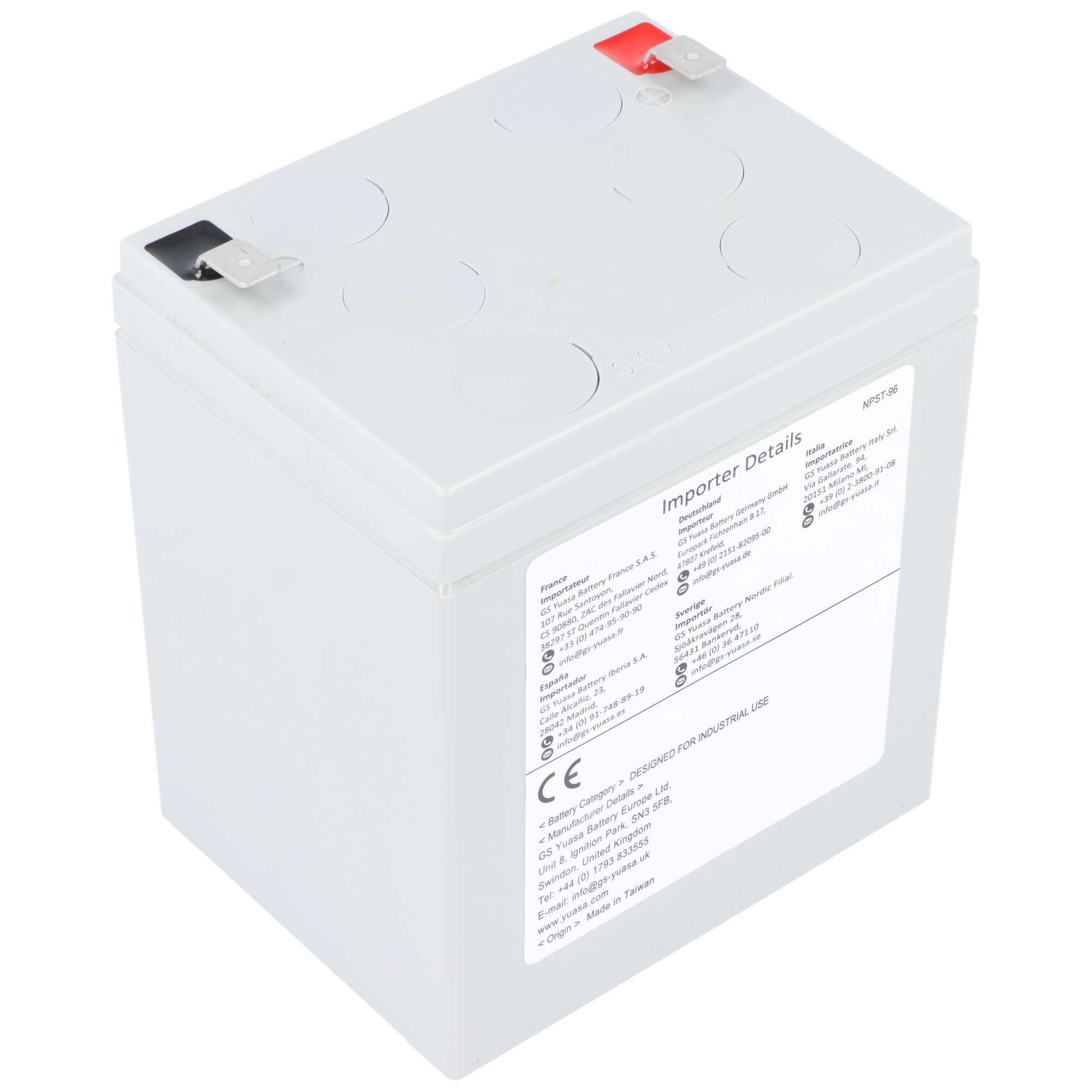 Batteria grigia con terminali nero e rosso, etichettata con dettagli importatore.