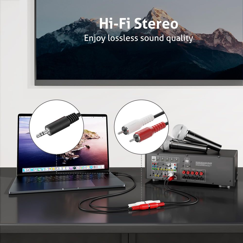 Laptop mit Kabeln verbunden, Mikrofone und Hi-Fi-Stereo-Gerät.