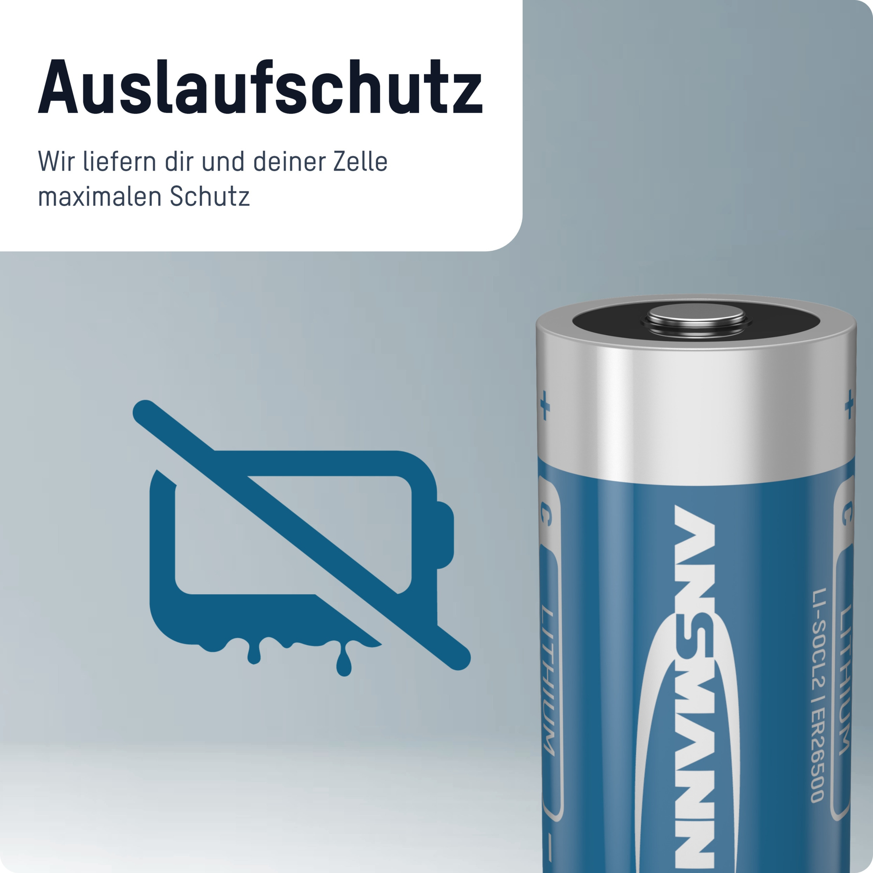 Eine ANSMANN Lithium-Batterie mit Auslaufschutz-Symbol.