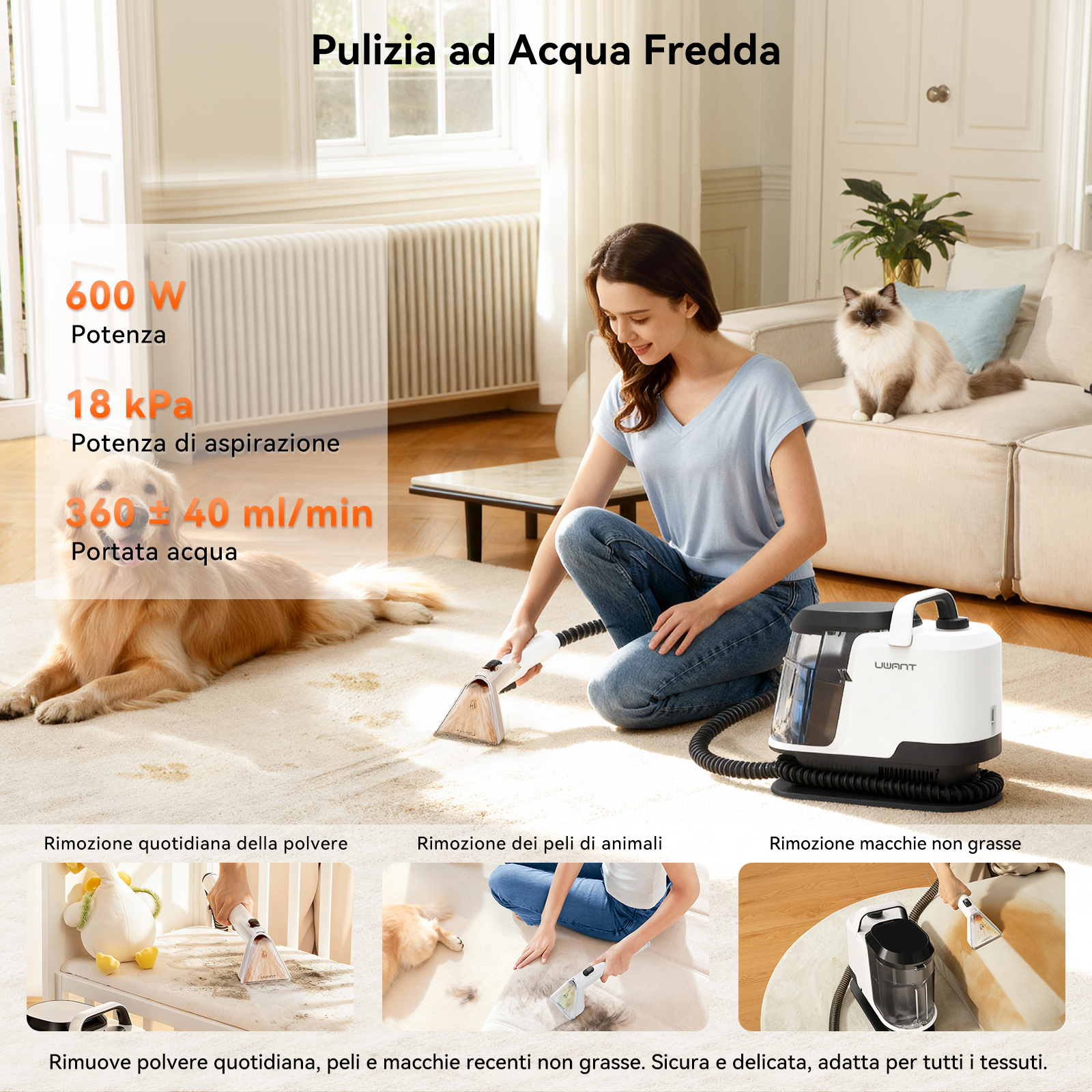Una donna pulisce un tappeto con una macchina. Un cane è sdraiato vicino.