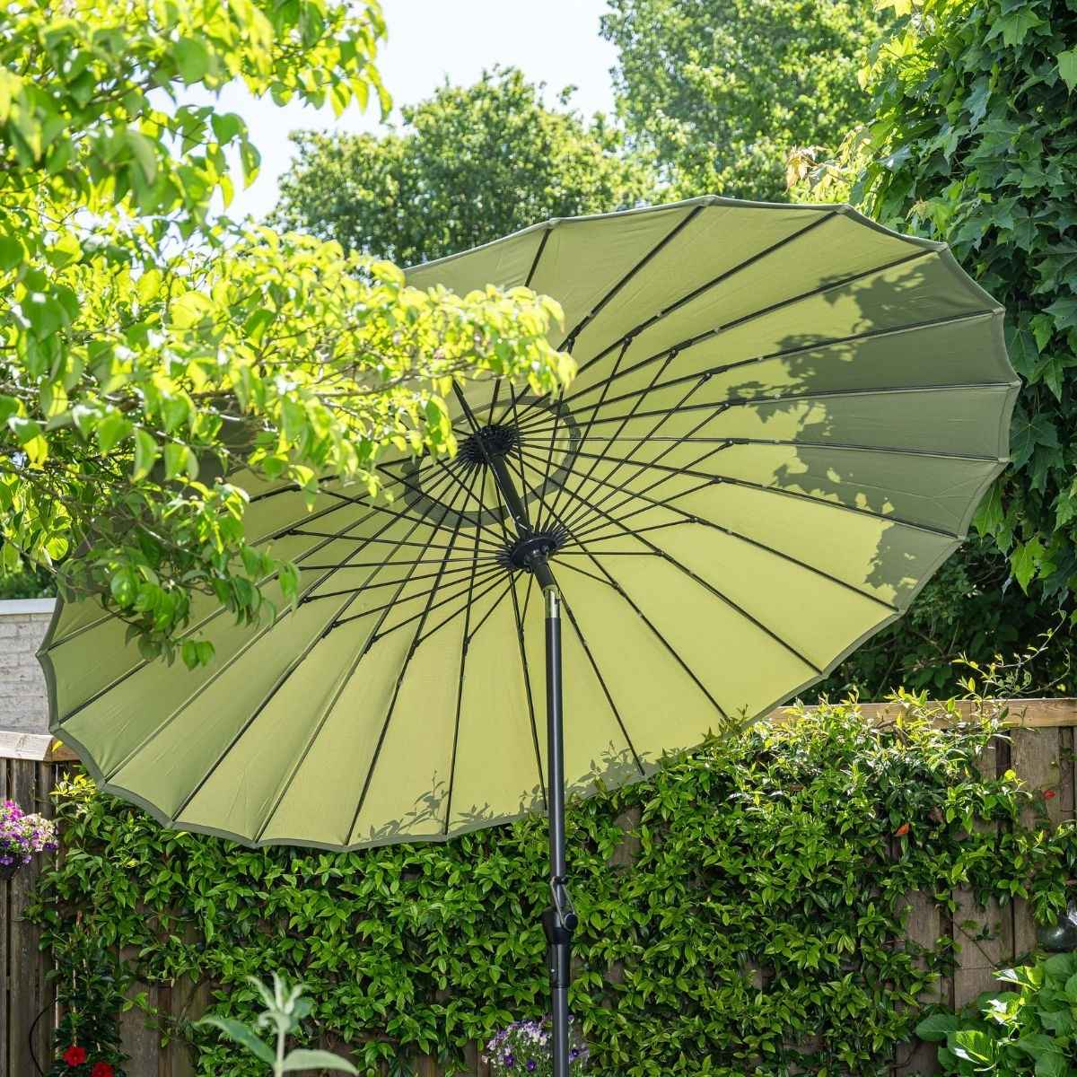 Een grote, lichtgroene parasol is geopend, de onderkant is zichtbaar. Groene bladeren omringen hem.