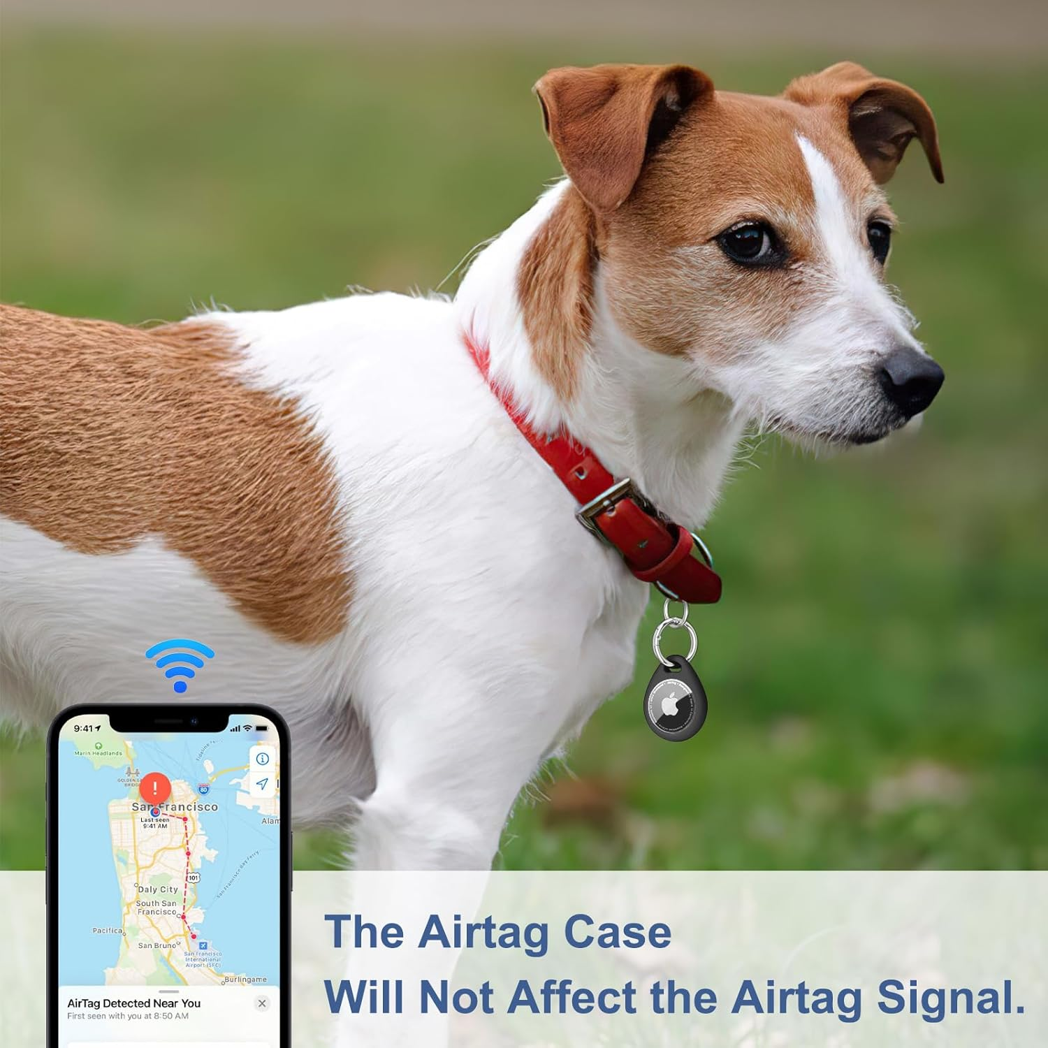 Ein Hund mit rotem Halsband und AirTag-Hülle steht im Gras. Ein iPhone zeigt eine Karte von San Francisco.