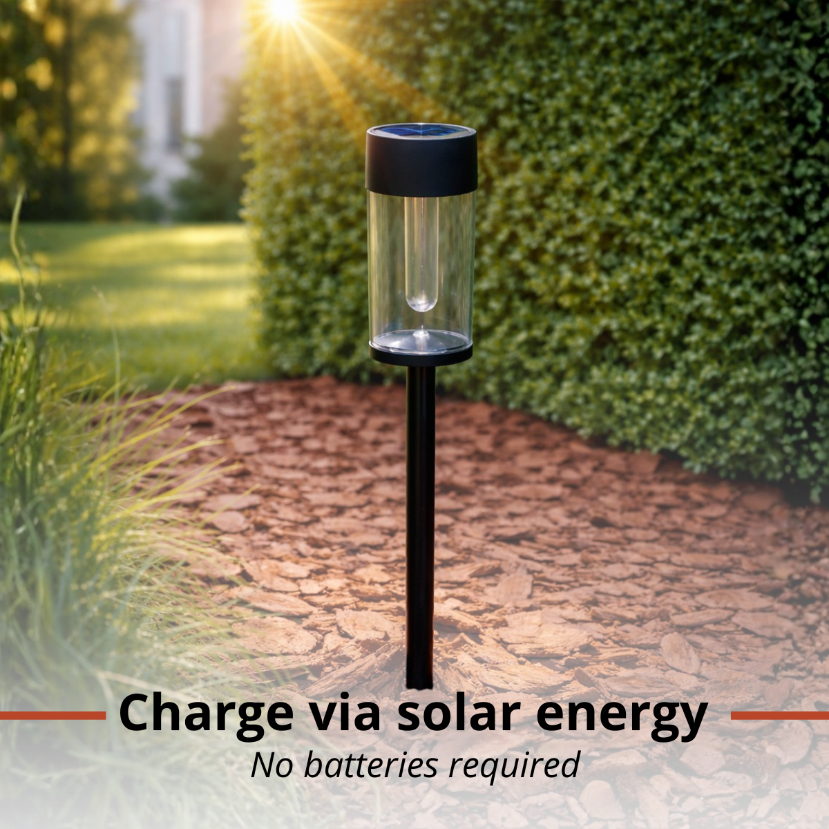 Solar garden light with glass cylinder and black base, in the sunlight.