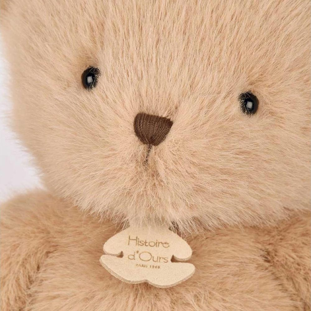 Primo piano di un orsacchiotto marrone chiaro con etichetta "Histoire d'Ours".
